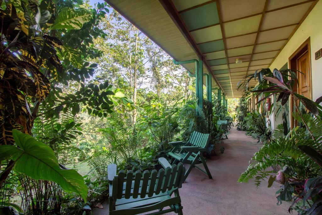 Lands In Love Hotel And Resort Colonia Palmareña المظهر الخارجي الصورة